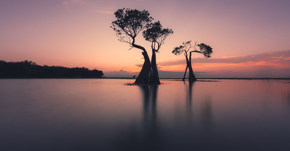 Фотография автора Eric Poon