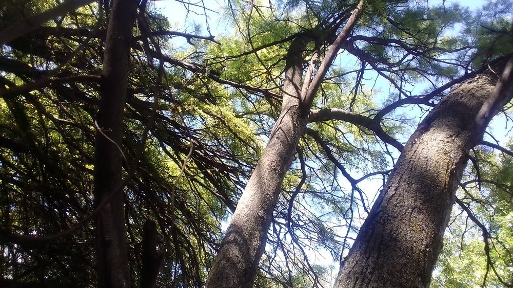 Photograph by Marelizé Wepener