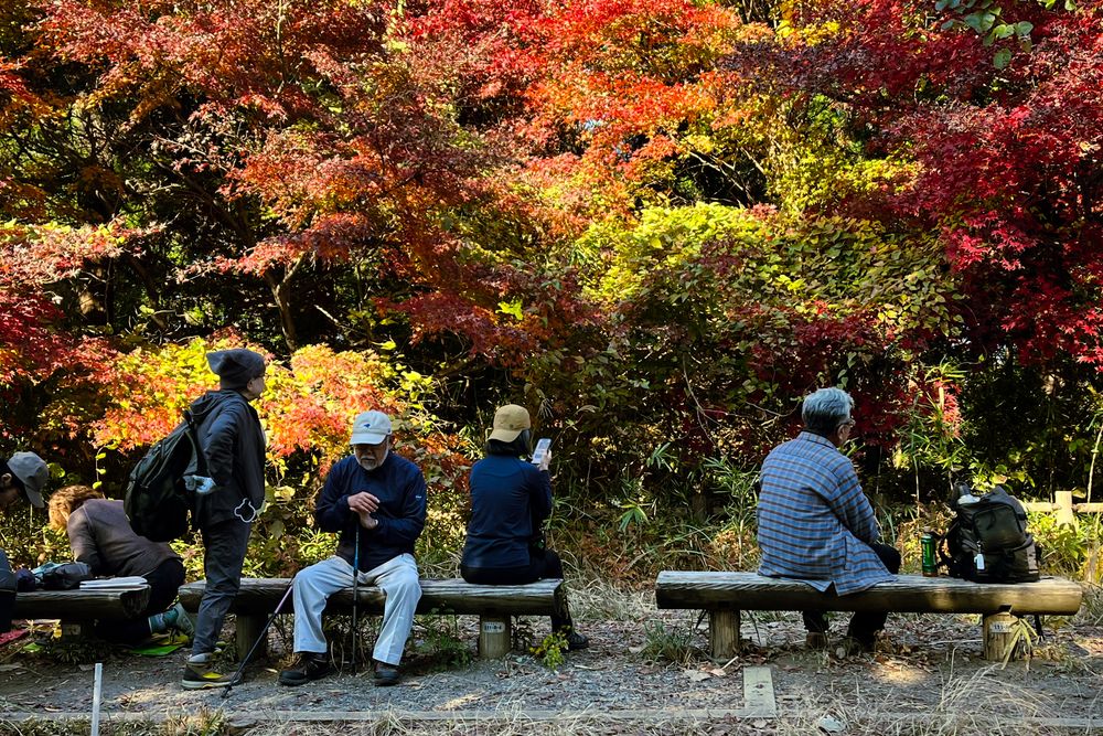 Photograph by mak takano