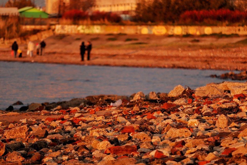 Photograph by Мария Тёмкина