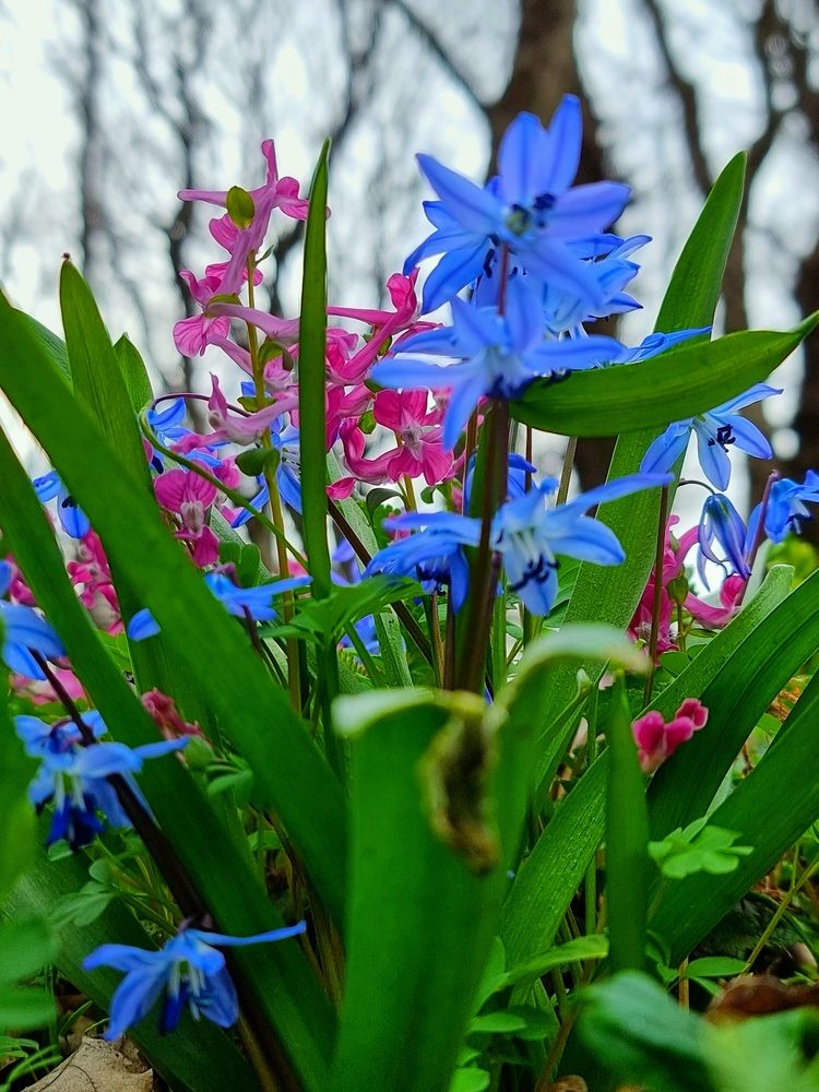 Photograph by Лидия Лащева