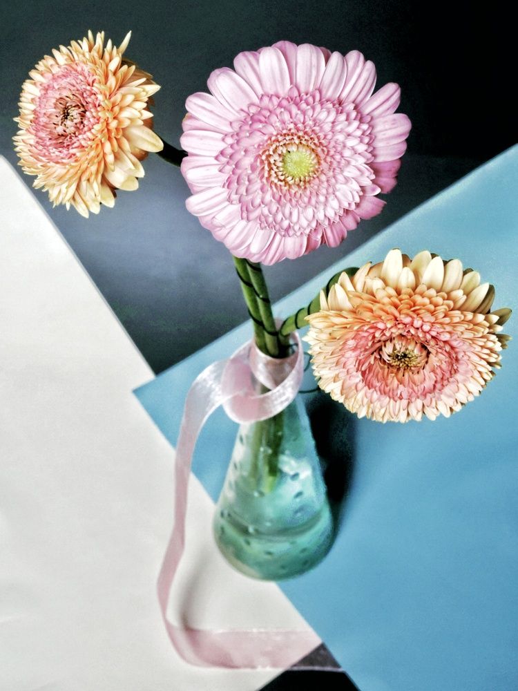 Фотография автора Екатерина Першина