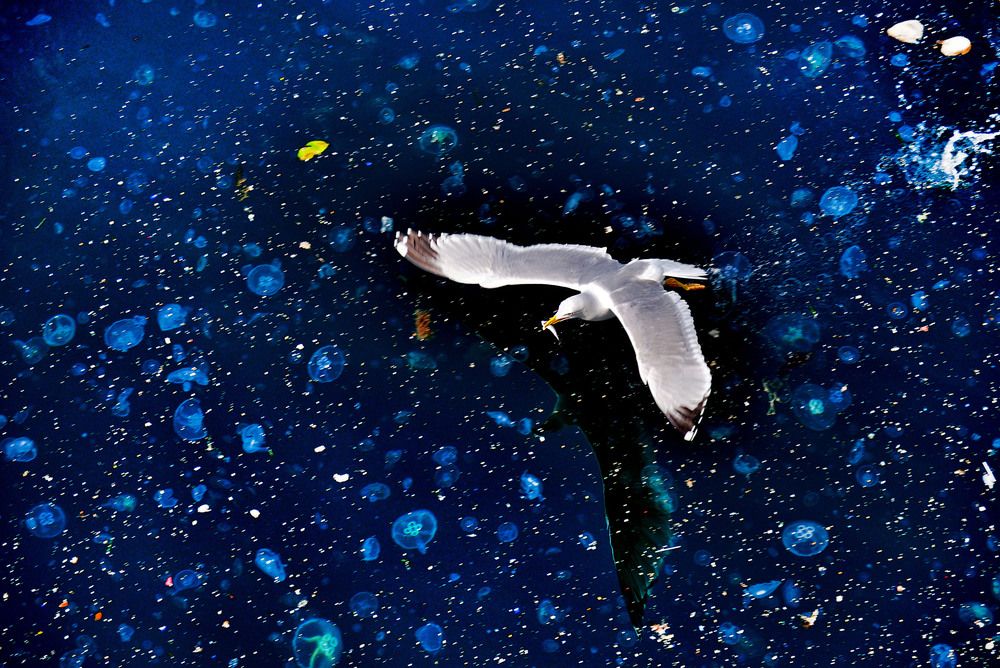 Photograph by Bekir Yesiltas