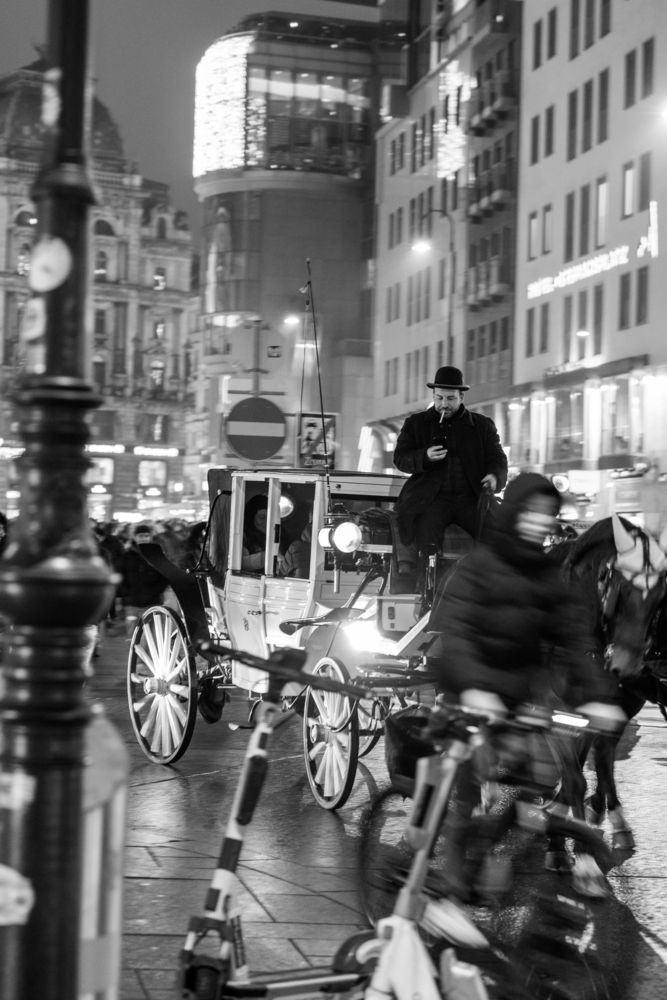 Vienna carriage driver
