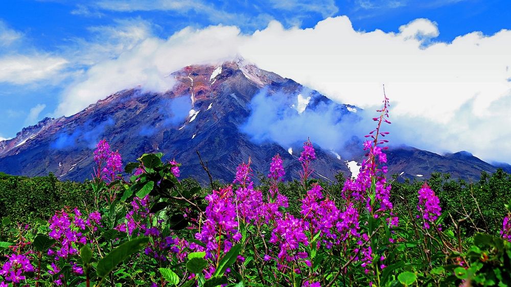 Photograph by Фартушняк Сергей