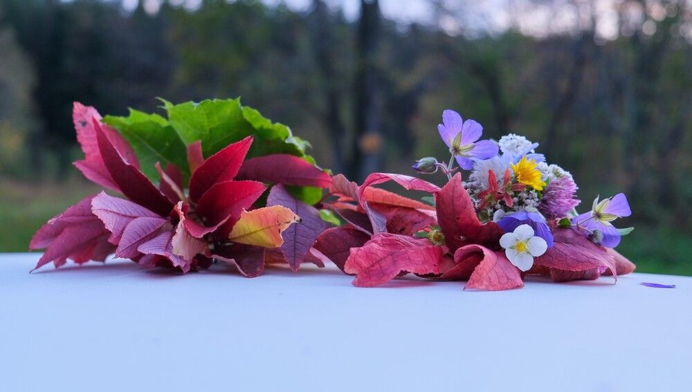 Photograph by Альберт Габбасов