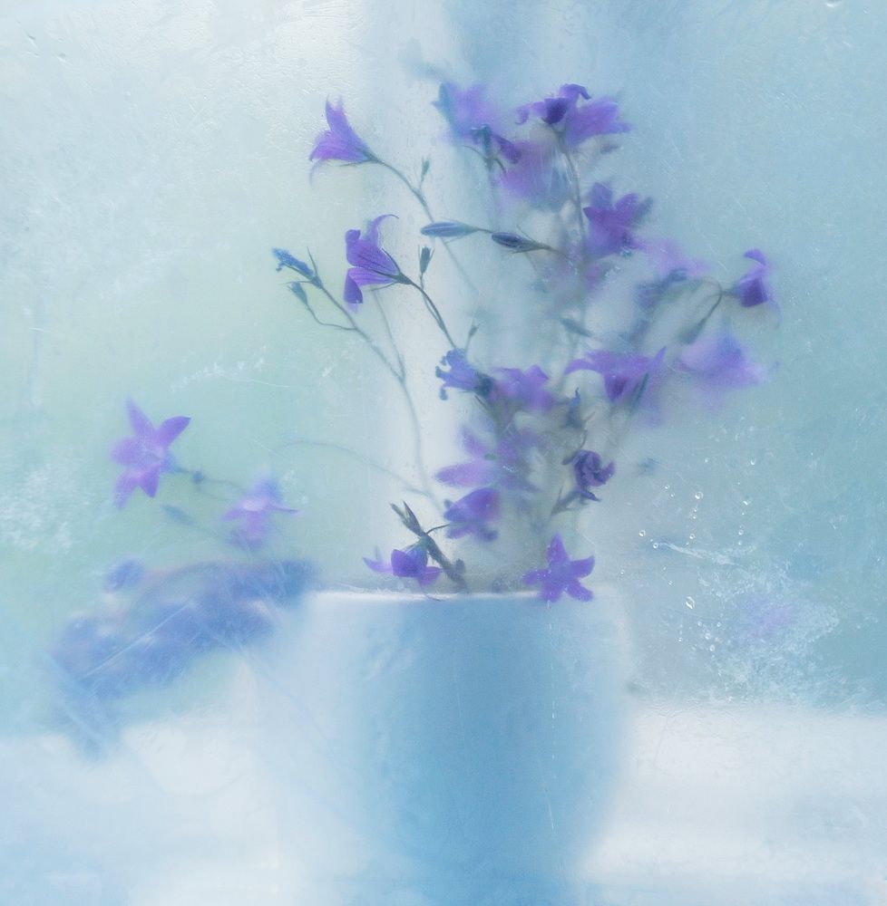 Photograph by Сушкевич Светлана