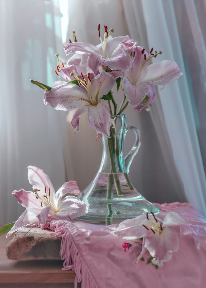 Photograph by Сушкевич Светлана