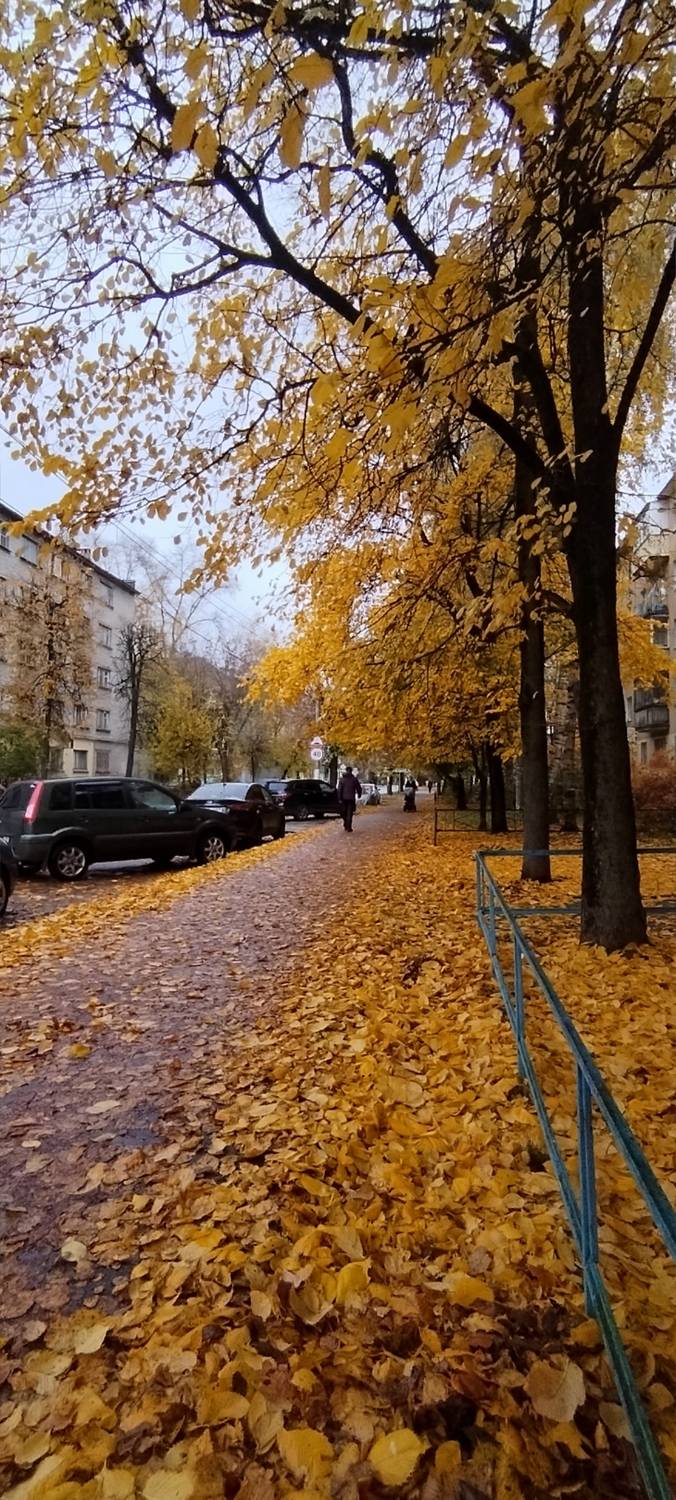 Фотография #12853397