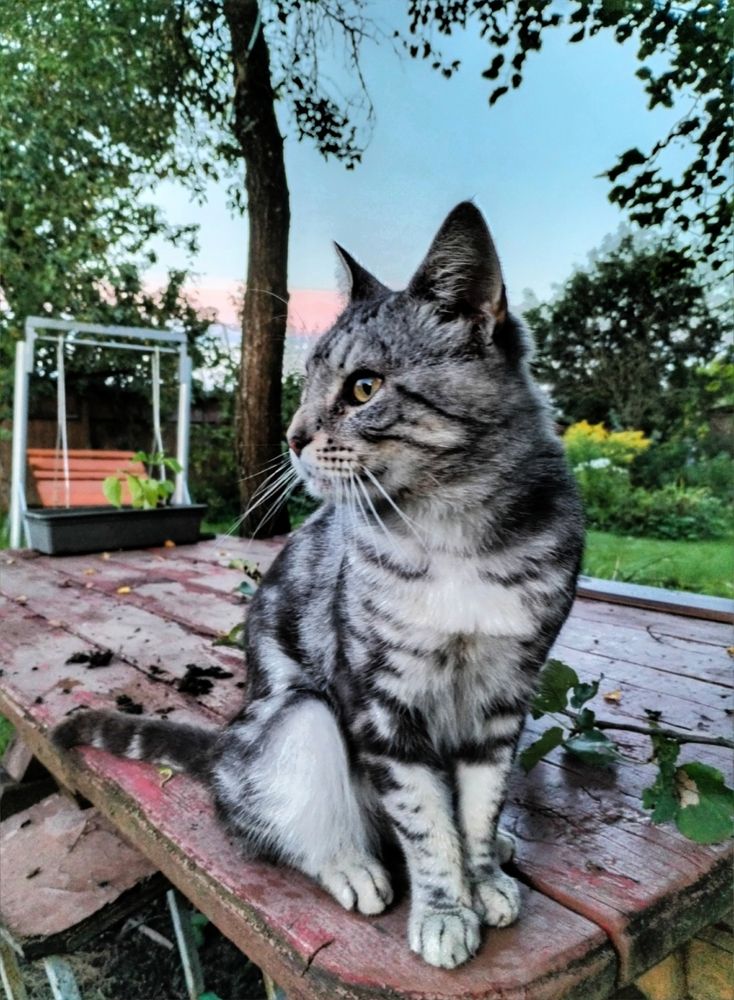 Photograph by Шевченко Алексей