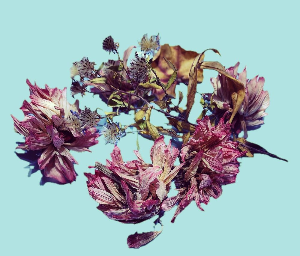 Photograph by Наталья Устюжина