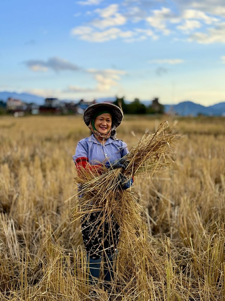 Photograph by Zubair Irshad