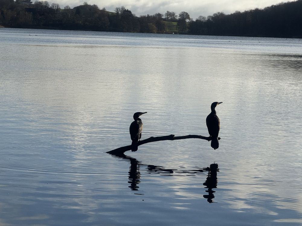 Фотография автора Ramin Ismayilov