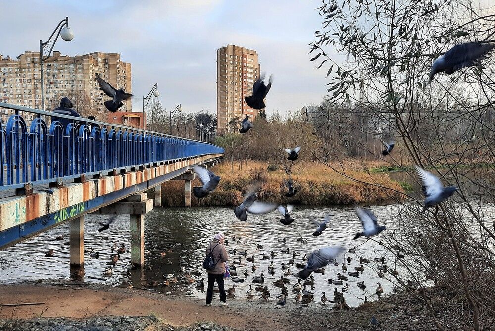Photograph by Владимир Малёшин
