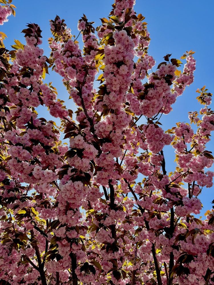 Photograph by Марина Черникова