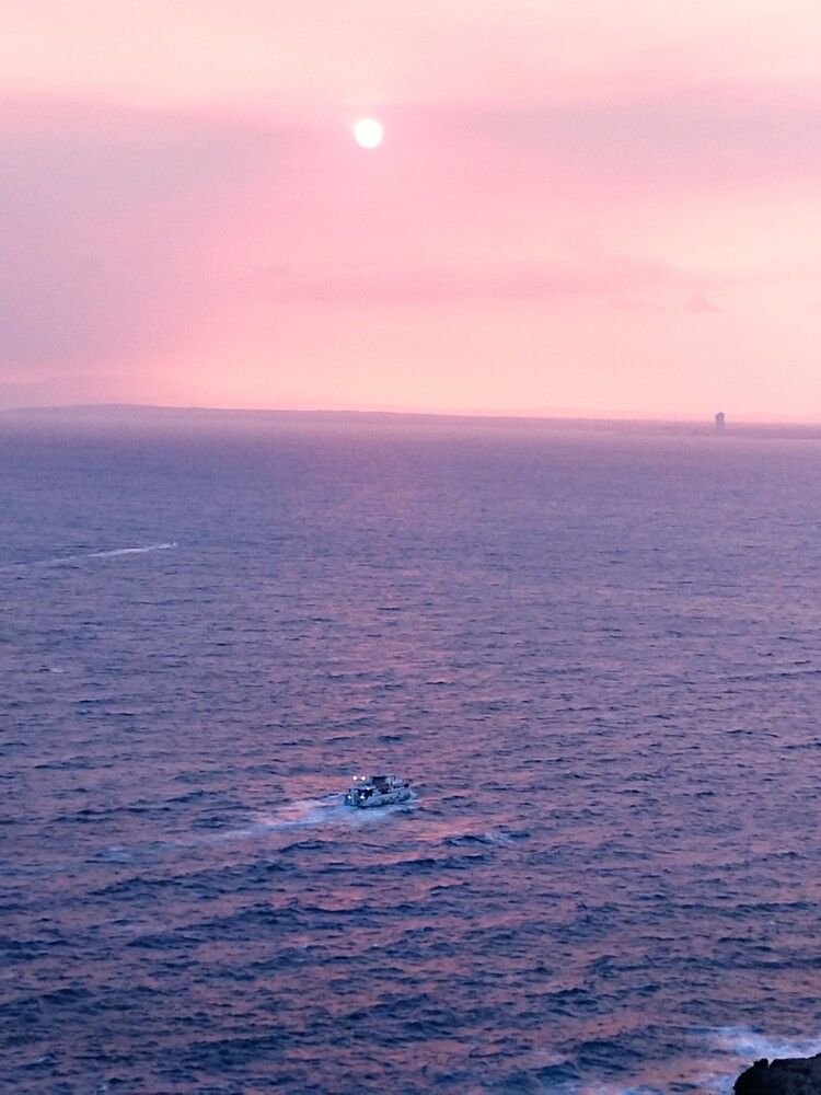 Photograph by Марина Павловская