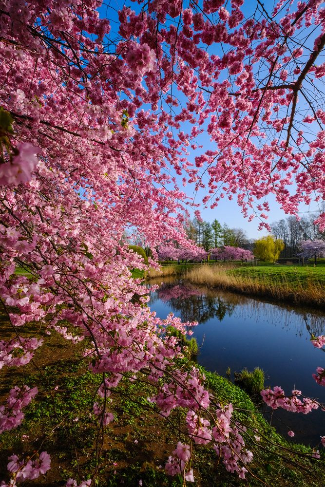 Photograph by Elvijs Kalnins