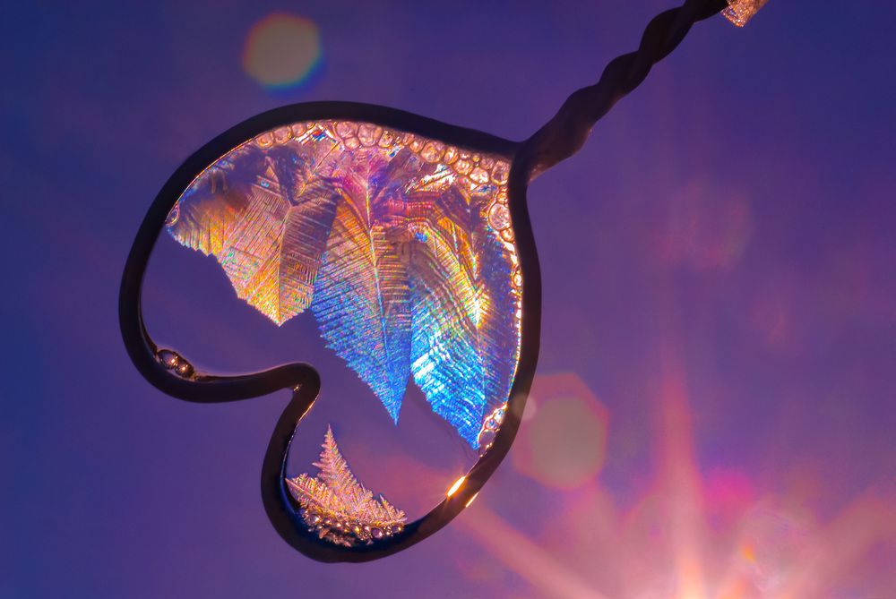 Photograph by Римма Волченко