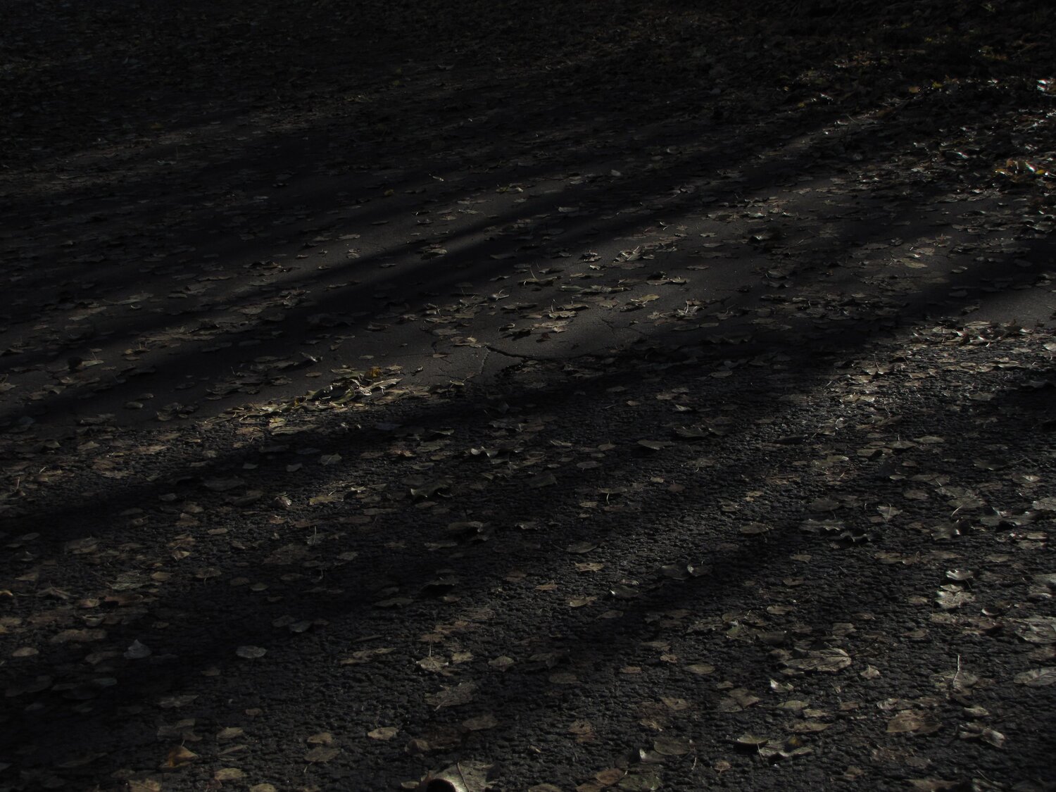 Photo #12853839
