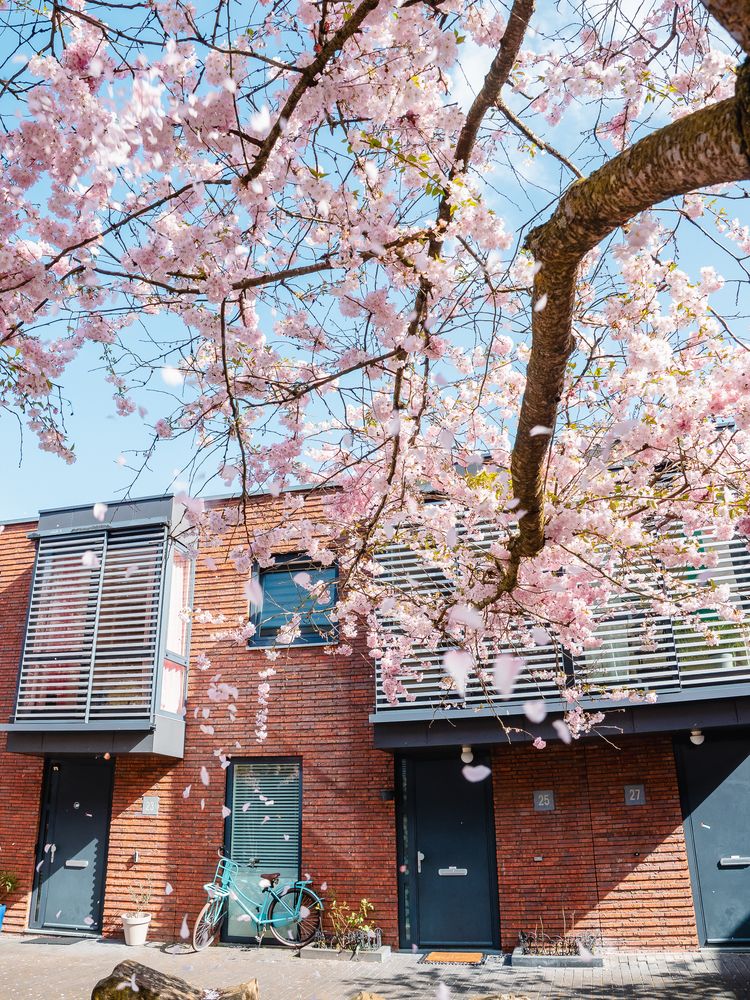 Photograph by Ирина Протченко