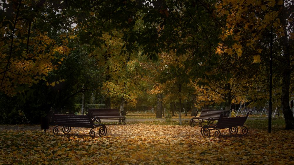 Ведьмин круг