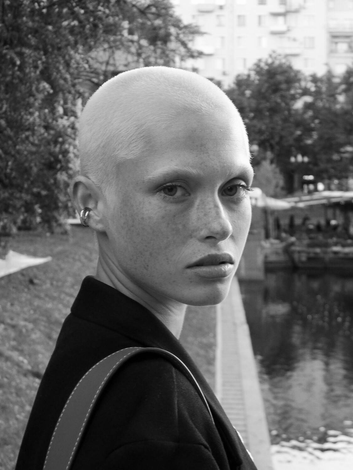 Photo #12853884