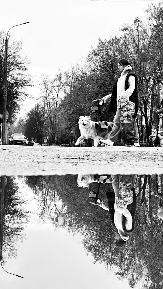 Photograph by Олеся Высокова