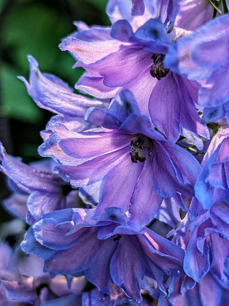 Photograph by Любовь Колмакова