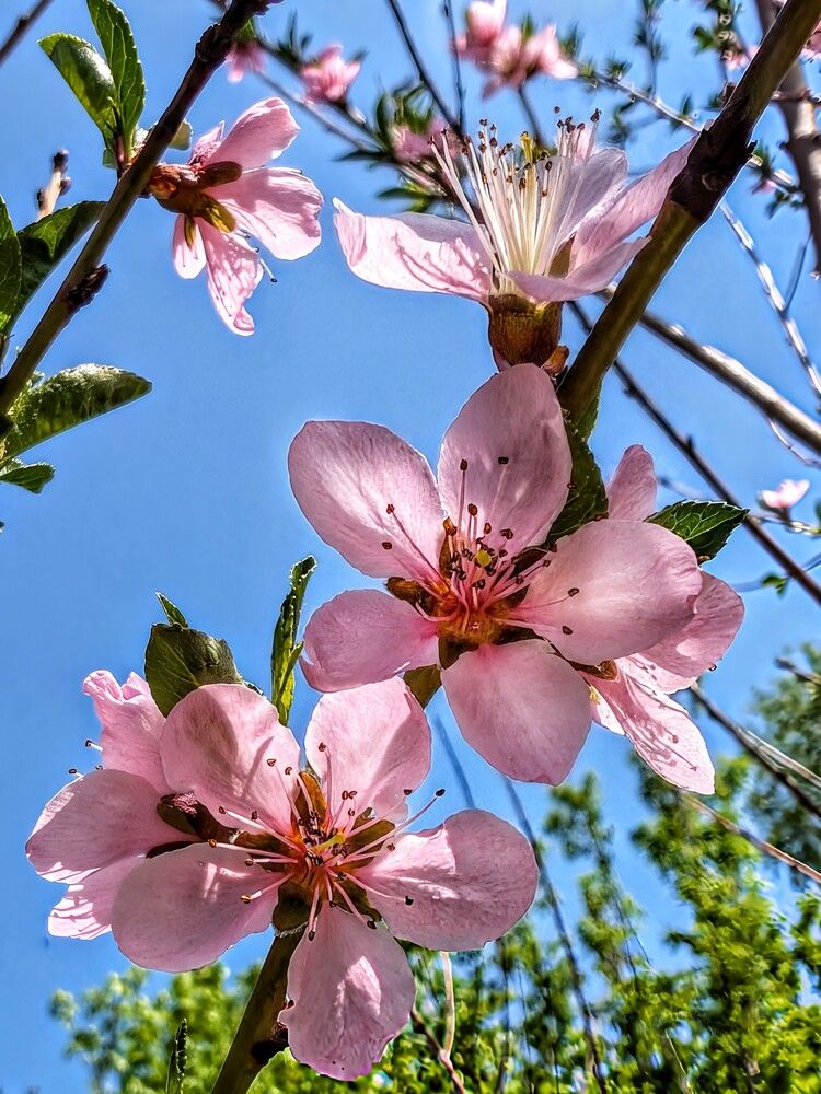 Photograph by Любовь Колмакова