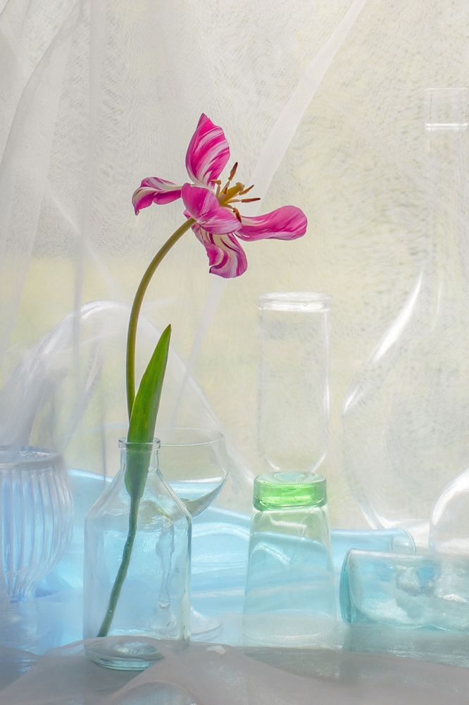 Photograph by Tатьяна Дин