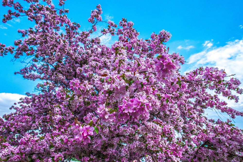 Photograph by Сергей Копылов