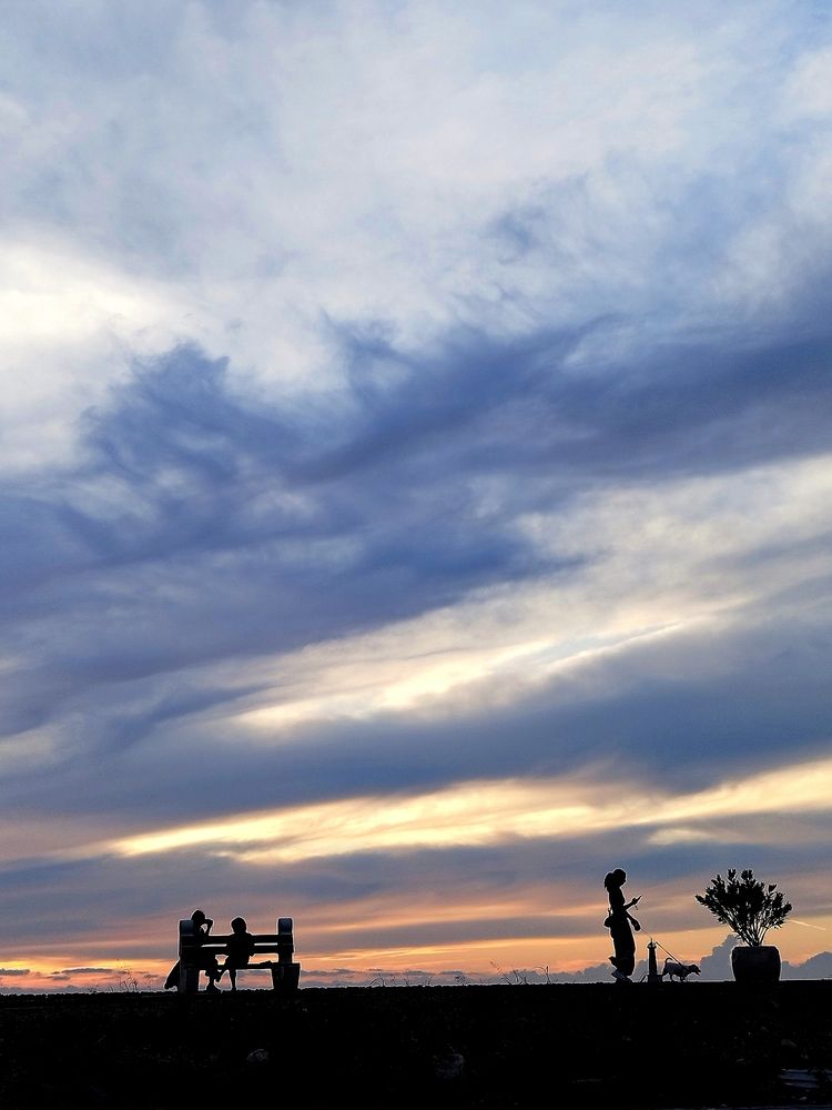 Фотография автора JELENA VASIC