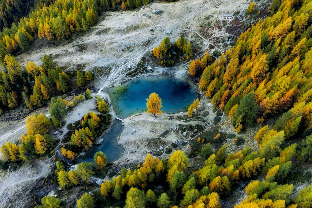 The Gardian of the Blue Lake