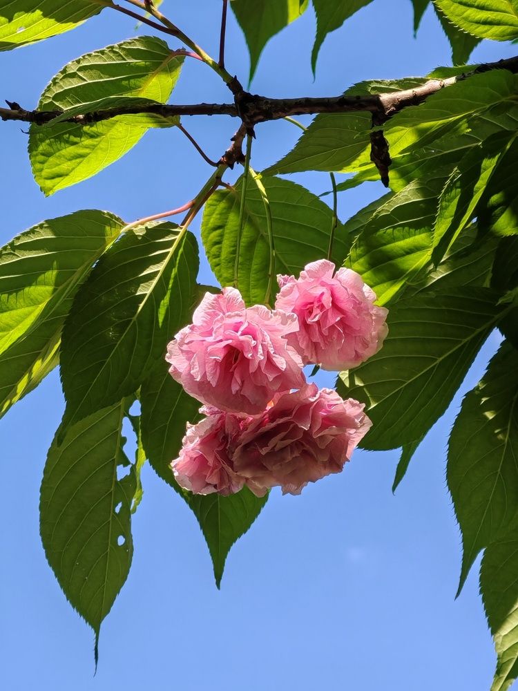 Photograph by Ольга Хромова