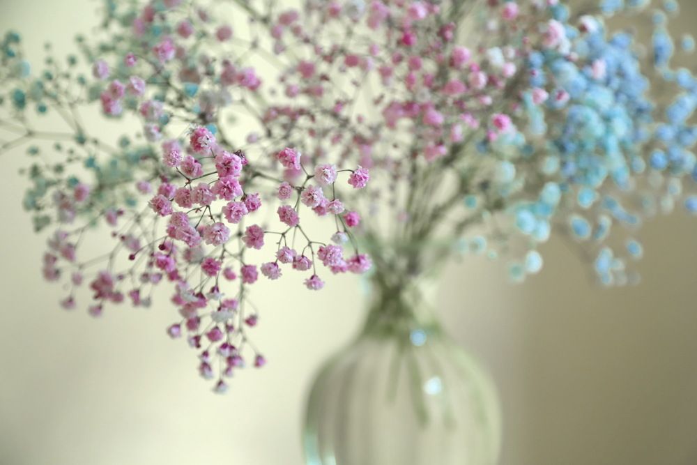 Photograph by Лада Денисова