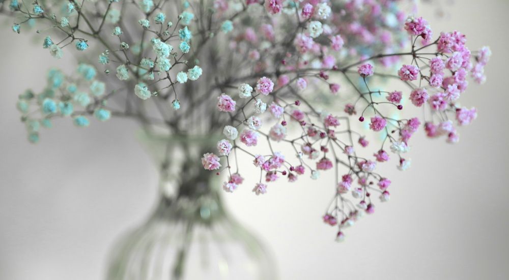 Photograph by Лада Денисова