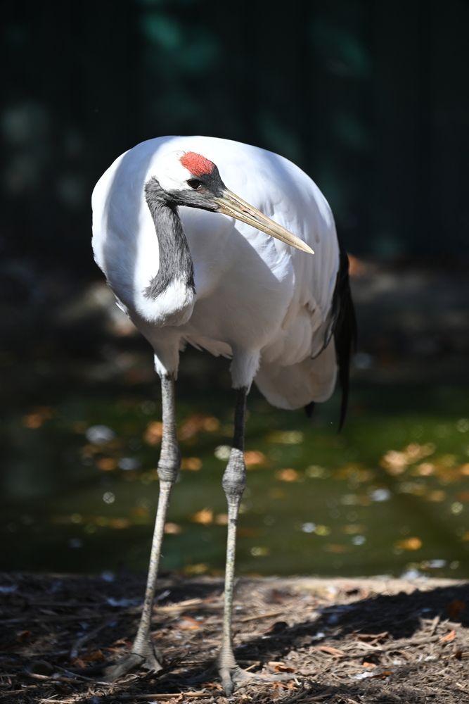 Photograph by Игорь Седунов