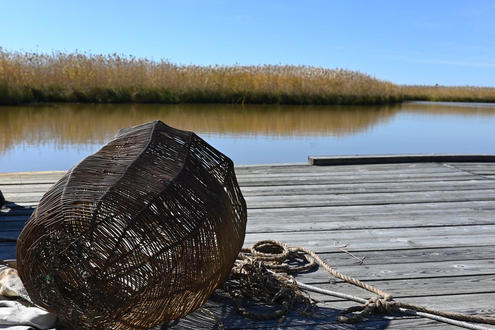 Photograph by Игорь Седунов