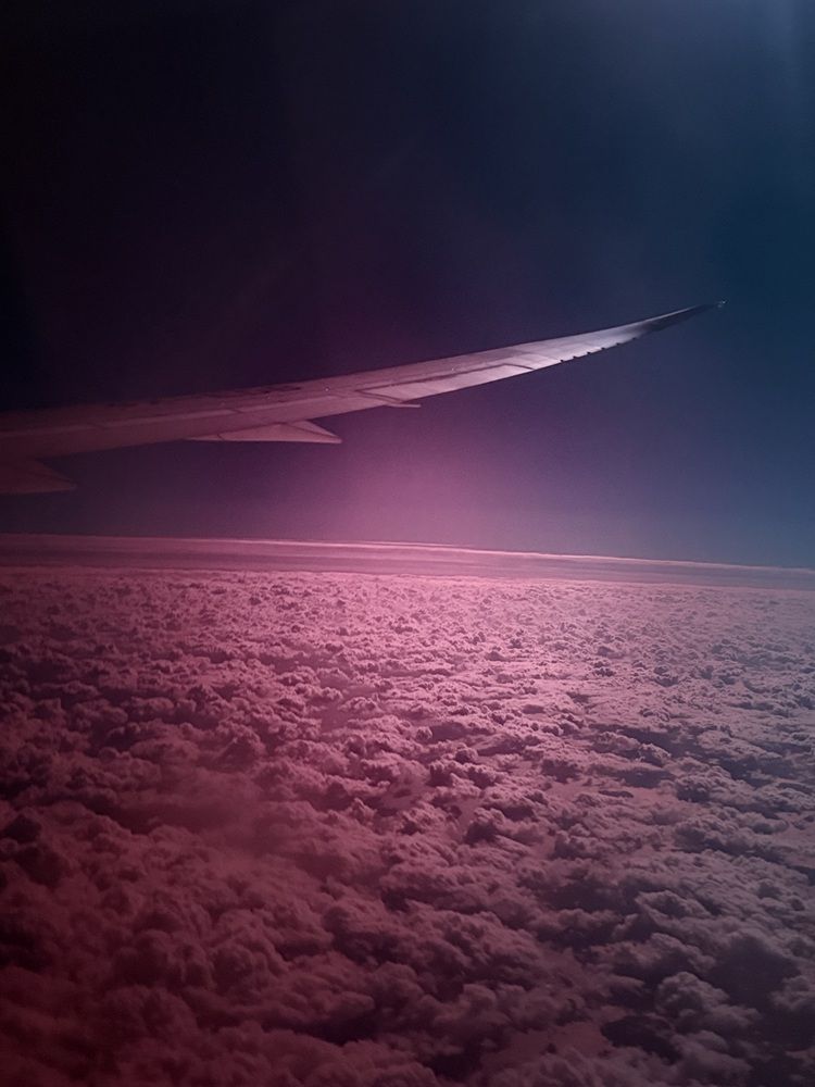 Фотография автора Алла Киселева