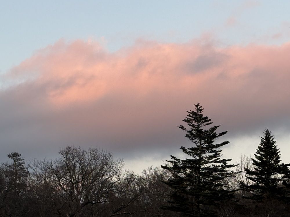 Фотография автора Алла Киселева