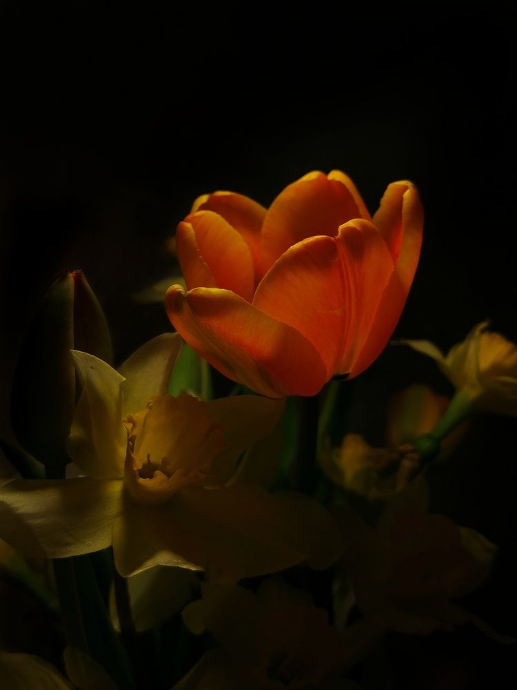 Photograph by Анна Кош