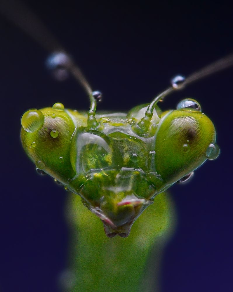 Photograph by Kasun Wickramasinghe