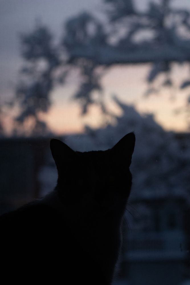 Photograph by Clarenced azoukou