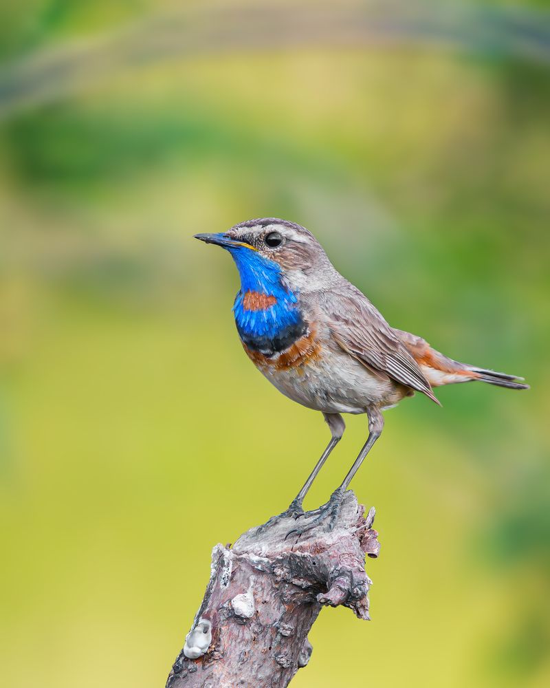 Photograph by Олег Белан