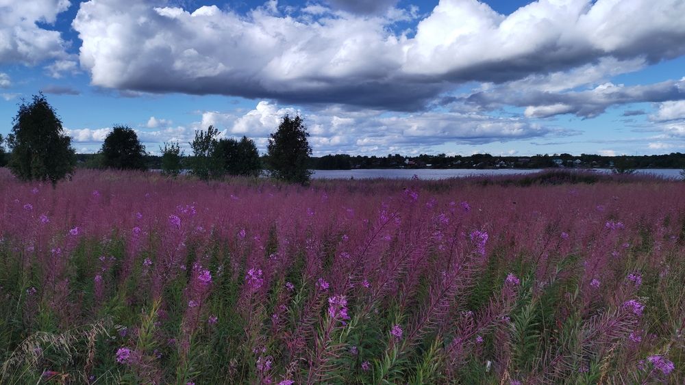 Photograph by Калюнова Наталья