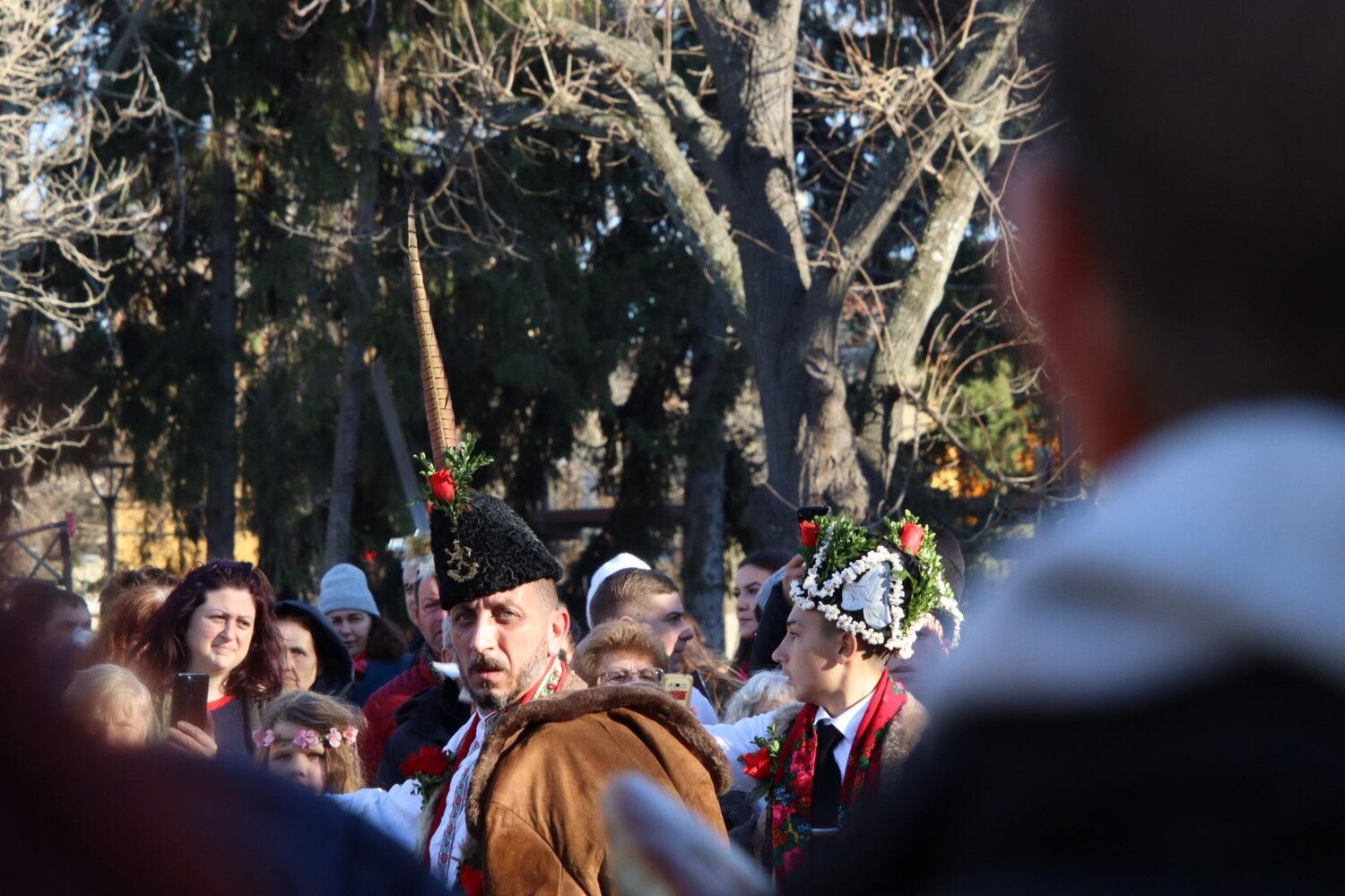 Photo #12854749