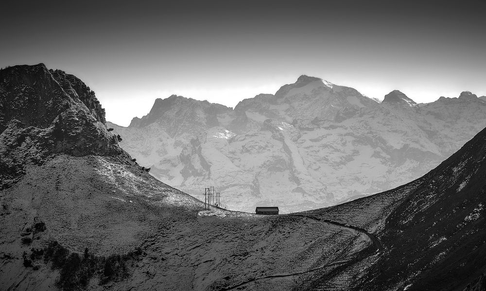 Photograph by Boris Bekelman