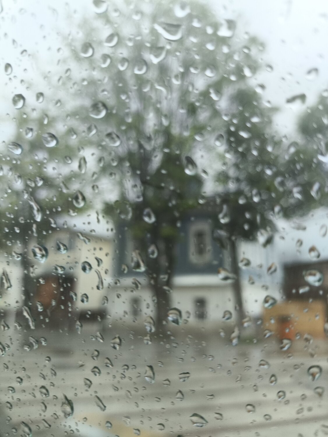 Photo #12854916