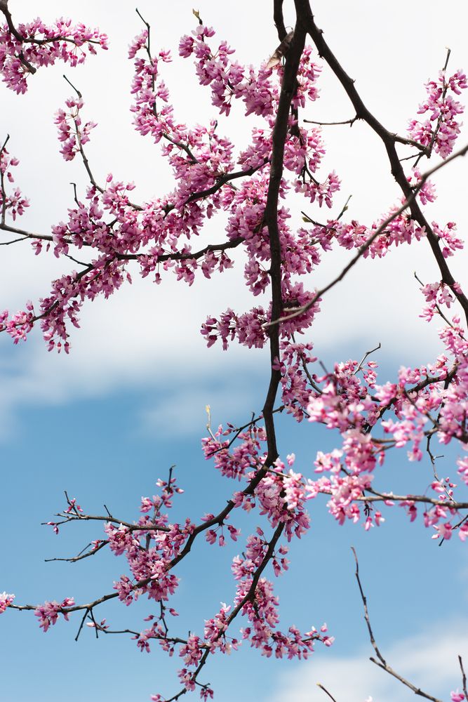 Photograph by Виктория