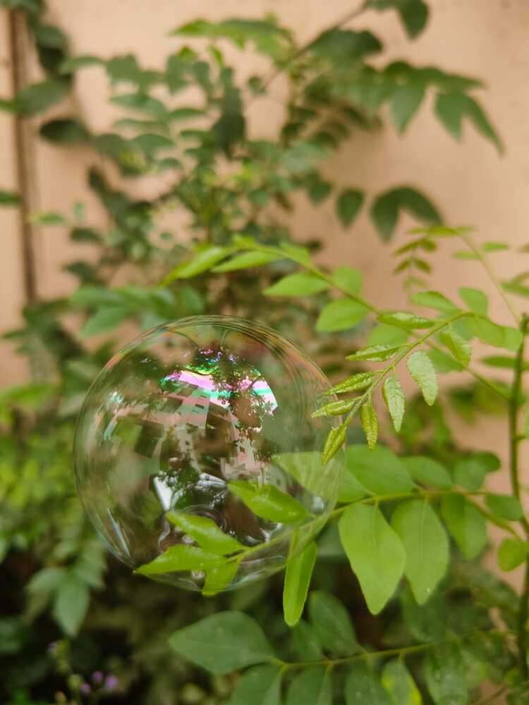 Photograph by RAGESHWARI SELVARAJ